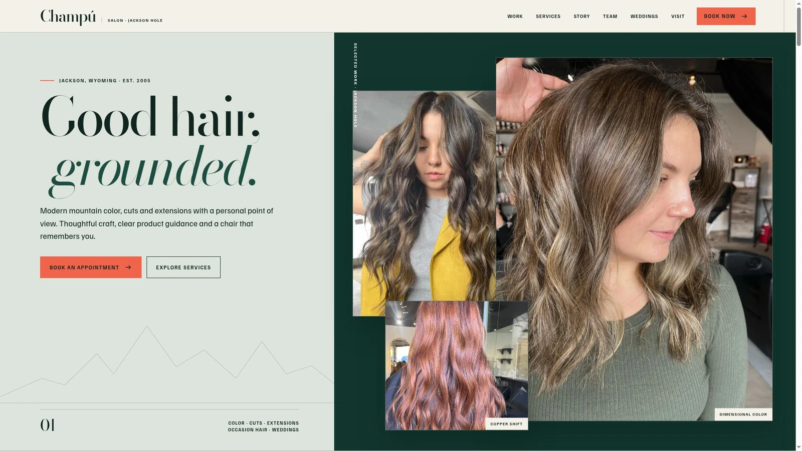 Champú Salon website homepage